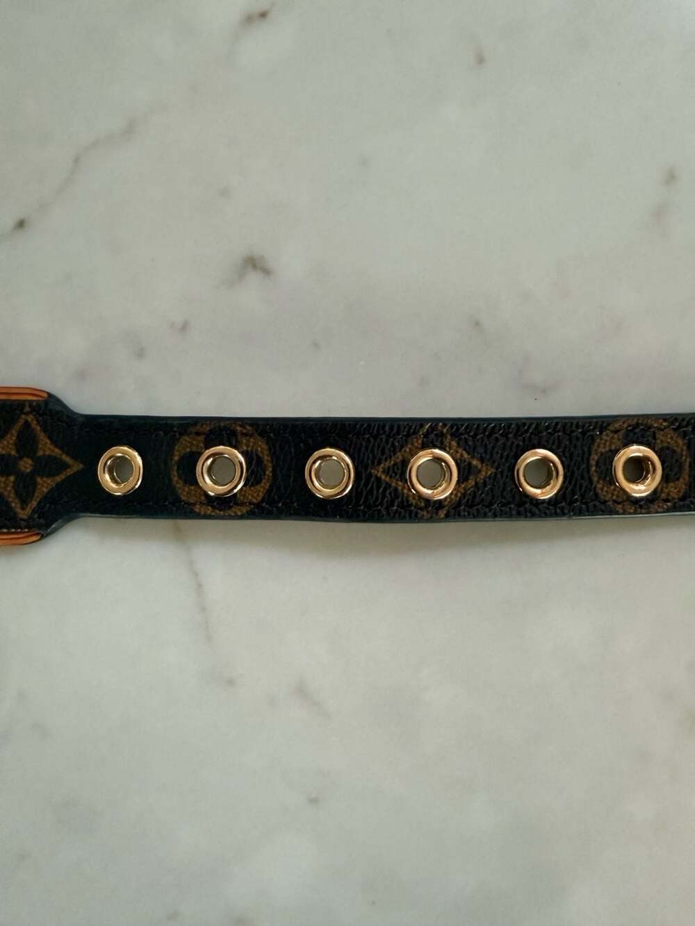 Authentic Louis Vuitton Baxter Monogram Dog Collar Large France LV Leather Pet - Picture 3 of 11